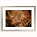 Rustic Fern Wall Art – Delicate Autumn Fern Leaves for Rustic Decor