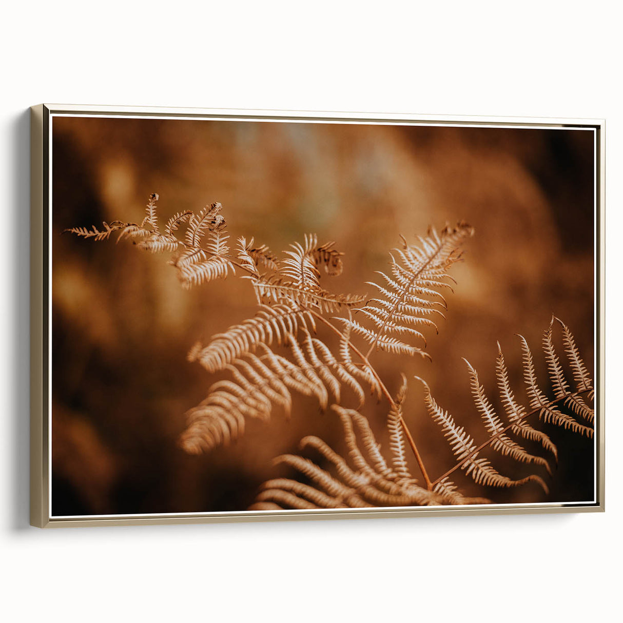 Rustic Fern Wall Art – Delicate Autumn Fern Leaves for Rustic Decor