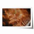 Rustic Fern Wall Art – Delicate Autumn Fern Leaves for Rustic Decor