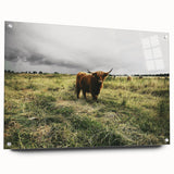 Rustic Highland Cow Wall Art – Scottish Highland Cattle in a Stormy Field