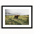Rustic Highland Cow Wall Art – Scottish Highland Cattle in a Stormy Field