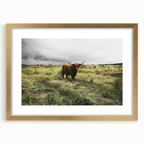 Rustic Highland Cow Wall Art – Scottish Highland Cattle in a Stormy Field