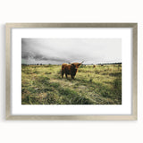 Rustic Highland Cow Wall Art – Scottish Highland Cattle in a Stormy Field