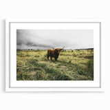 Rustic Highland Cow Wall Art – Scottish Highland Cattle in a Stormy Field