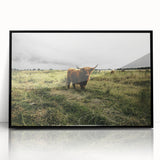 Rustic Highland Cow Wall Art – Scottish Highland Cattle in a Stormy Field