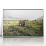 Rustic Highland Cow Wall Art – Scottish Highland Cattle in a Stormy Field