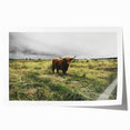 Rustic Highland Cow Wall Art – Scottish Highland Cattle in a Stormy Field