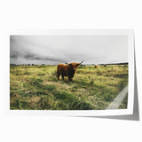 Rustic Highland Cow Wall Art – Scottish Highland Cattle in a Stormy Field