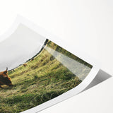 Rustic Highland Cow Wall Art – Scottish Highland Cattle in a Stormy Field