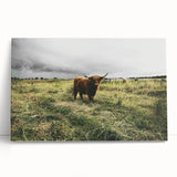 Rustic Highland Cow Wall Art – Scottish Highland Cattle in a Stormy Field