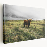 Rustic Highland Cow Wall Art – Scottish Highland Cattle in a Stormy Field