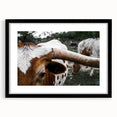 Rustic Longhorn Wall Art – Close-Up of Texas Longhorn Cattle in Field