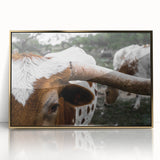 Rustic Longhorn Wall Art – Close-Up of Texas Longhorn Cattle in Field