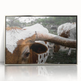 Rustic Longhorn Wall Art – Close-Up of Texas Longhorn Cattle in Field
