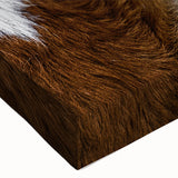 Rustic Longhorn Wall Art – Close-Up of Texas Longhorn Cattle in Field