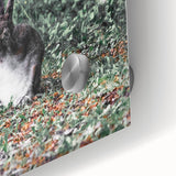 Majestic Forest Rabbit: Rustic Nature Art Print