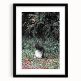 Majestic Forest Rabbit: Rustic Nature Art Print