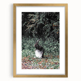 Majestic Forest Rabbit: Rustic Nature Art Print