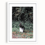 Majestic Forest Rabbit: Rustic Nature Art Print