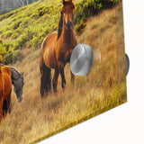 Rustic Wild Horses Wall Art – Majestic Horses Grazing in Open Field