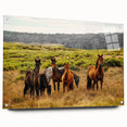 Rustic Wild Horses Wall Art – Majestic Horses Grazing in Open Field