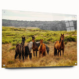 Rustic Wild Horses Wall Art – Majestic Horses Grazing in Open Field