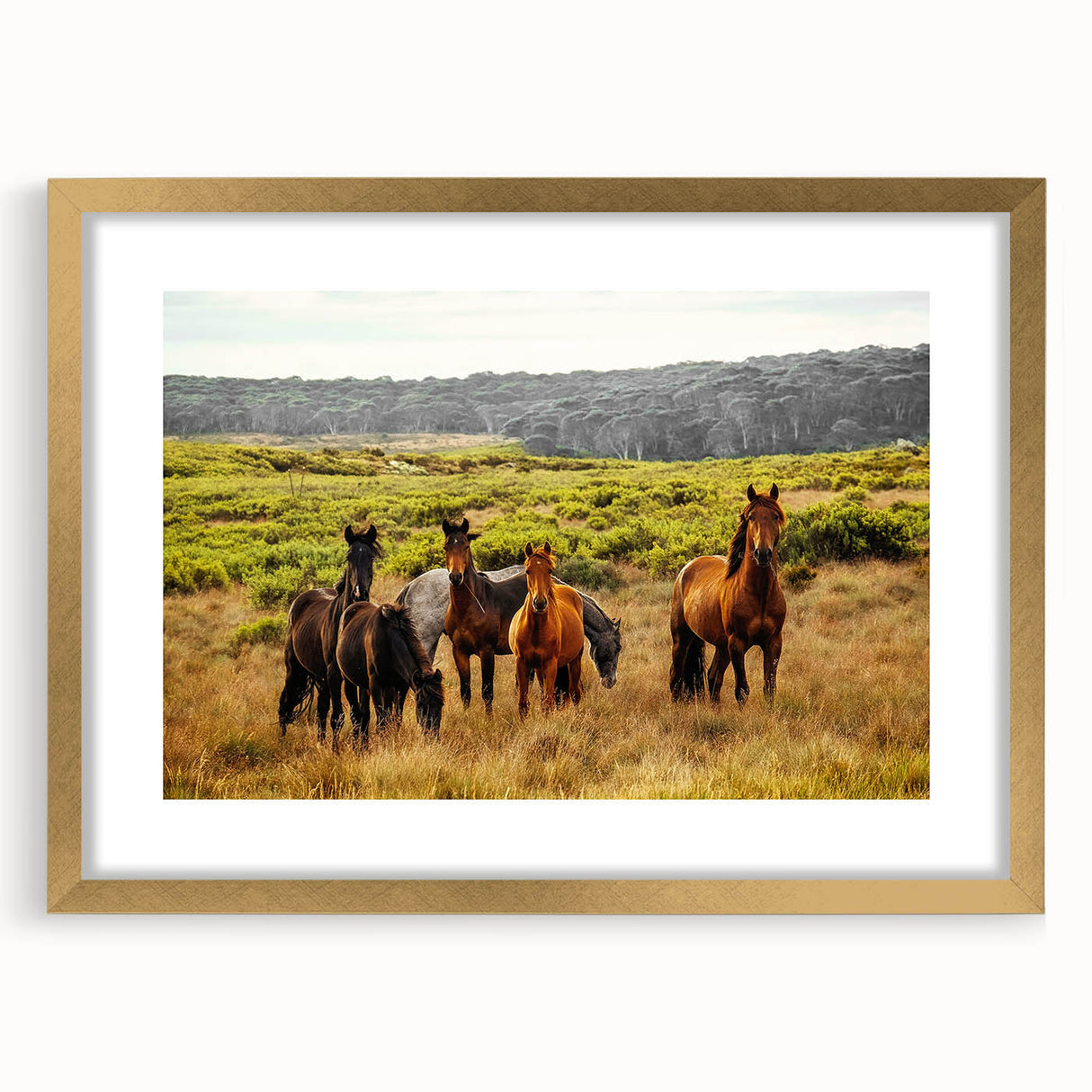 Rustic Wild Horses Wall Art – Majestic Horses Grazing in Open Field