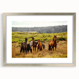 Rustic Wild Horses Wall Art – Majestic Horses Grazing in Open Field