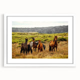 Rustic Wild Horses Wall Art – Majestic Horses Grazing in Open Field