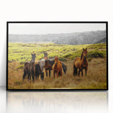 Rustic Wild Horses Wall Art – Majestic Horses Grazing in Open Field