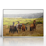 Rustic Wild Horses Wall Art – Majestic Horses Grazing in Open Field
