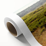 Rustic Wild Horses Wall Art – Majestic Horses Grazing in Open Field