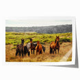 Rustic Wild Horses Wall Art – Majestic Horses Grazing in Open Field
