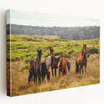 Rustic Wild Horses Wall Art – Majestic Horses Grazing in Open Field