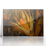Rustic Corn Harvest Wall Art – Golden Corn on the Cob in Field Close-Up
