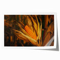 Rustic Corn Harvest Wall Art – Golden Corn on the Cob in Field Close-Up