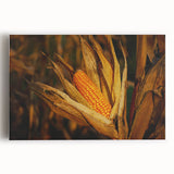 Rustic Corn Harvest Wall Art – Golden Corn on the Cob in Field Close-Up