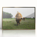 Highland Cattle in Field Rustic Wall Art – Farmhouse Landscape Decor Print