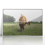 Highland Cattle in Field Rustic Wall Art – Farmhouse Landscape Decor Print