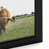 Highland Cattle in Field Rustic Wall Art – Farmhouse Landscape Decor Print