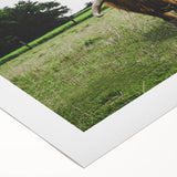 Highland Cattle in Field Rustic Wall Art – Farmhouse Landscape Decor Print