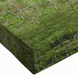 Highland Cattle in Field Rustic Wall Art – Farmhouse Landscape Decor Print