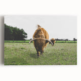 Highland Cattle in Field Rustic Wall Art – Farmhouse Landscape Decor Print