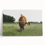 Highland Cattle in Field Rustic Wall Art – Farmhouse Landscape Decor Print