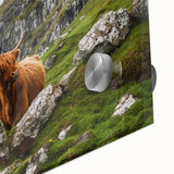 Highland Cow in Mountain Landscape Rustic Wall Art – Farmhouse Decor Print