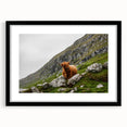 Highland Cow in Mountain Landscape Rustic Wall Art – Farmhouse Decor Print