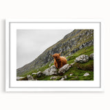 Highland Cow in Mountain Landscape Rustic Wall Art – Farmhouse Decor Print