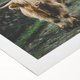 Highland Cows Rustic Wall Art – Farmhouse Nature-Inspired Decor Print