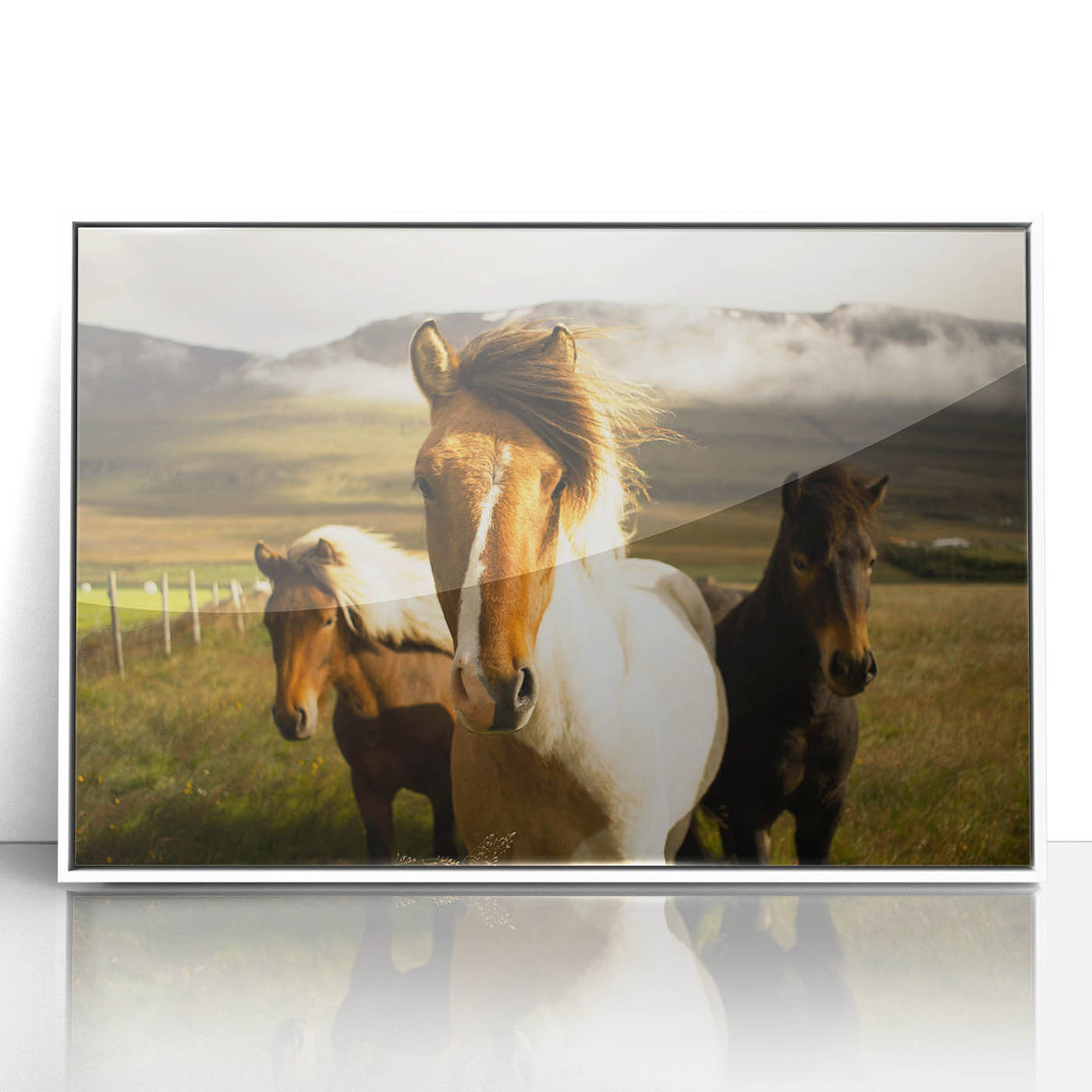Wild Horses in Countryside Rustic Wall Art – Farmhouse Nature Decor Print