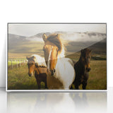 Wild Horses in Countryside Rustic Wall Art – Farmhouse Nature Decor Print